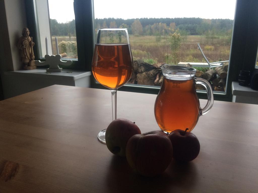 Chamedafne W Puszczy Kampinoskiej Brochów Dış mekan fotoğraf