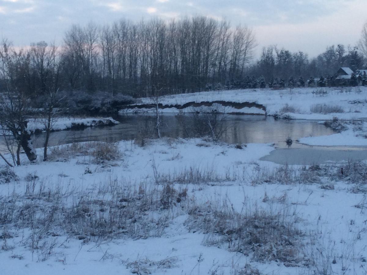 Chamedafne W Puszczy Kampinoskiej Brochów Dış mekan fotoğraf