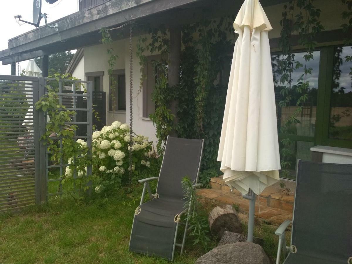 Chamedafne W Puszczy Kampinoskiej Brochów Dış mekan fotoğraf